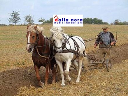 anteprima foto